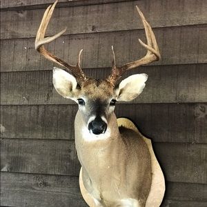 Meet your Posher, Tyler